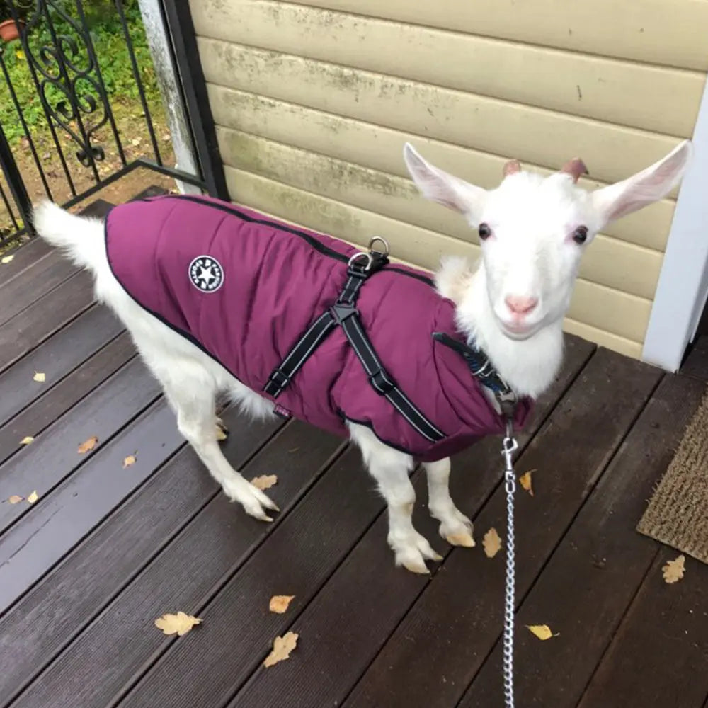 Waterproof Dog Clothes Winter Dog Coat With Harness Warm Pet Clothing Big Dog Jacket Chihuahua Labrador Coat Costume - MaJuah