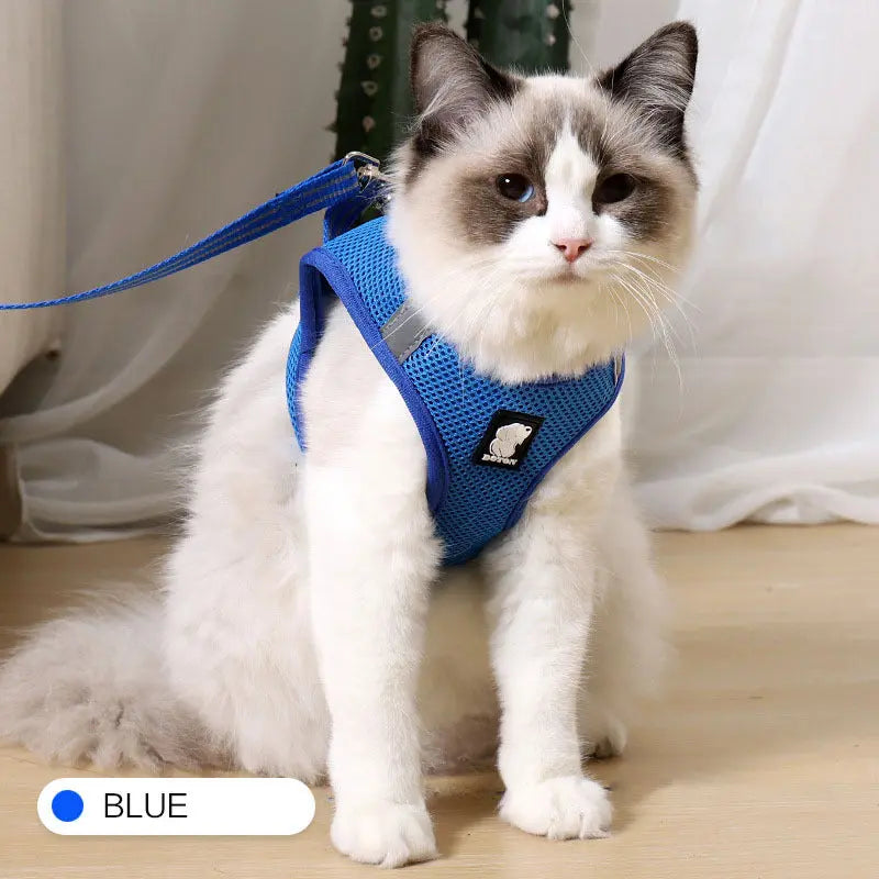 Anti-strike cat traction cat harness - MaJuah