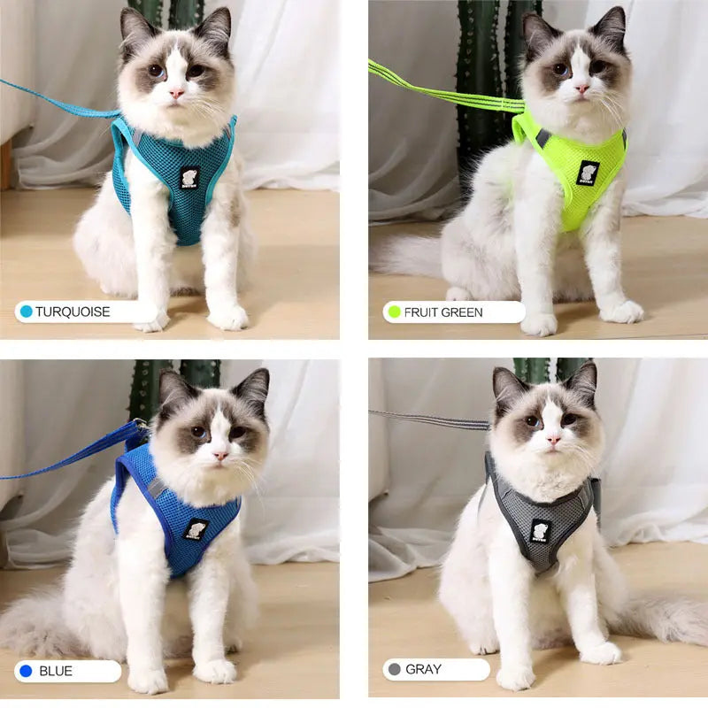 Anti-strike cat traction cat harness - MaJuah