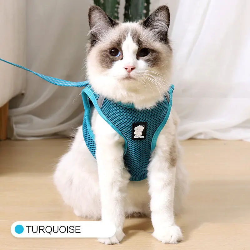 Anti-strike cat traction cat harness - MaJuah