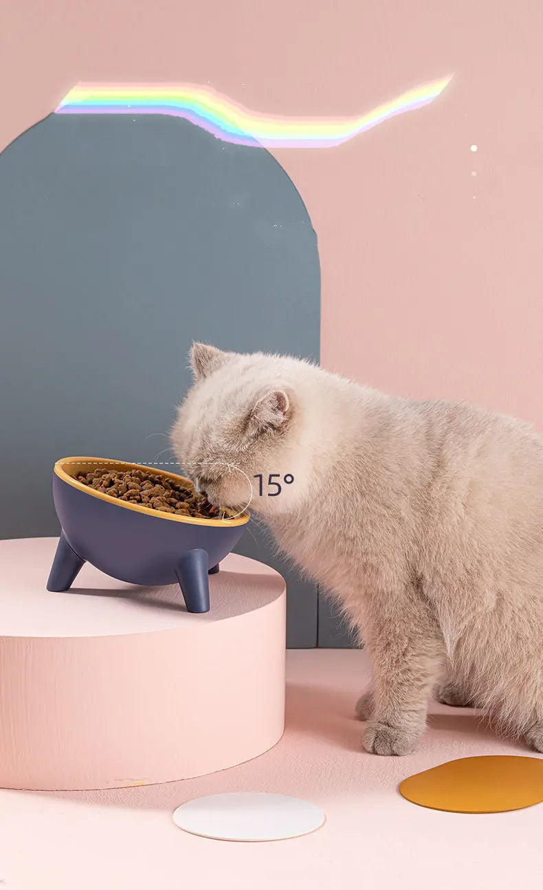 Cat Dog Bowl With Stand Pet Feeding Food Bowls Dogs Bunny Rabbit Nordic Color Feeder Product Supplies Pet Accessories - MaJuah