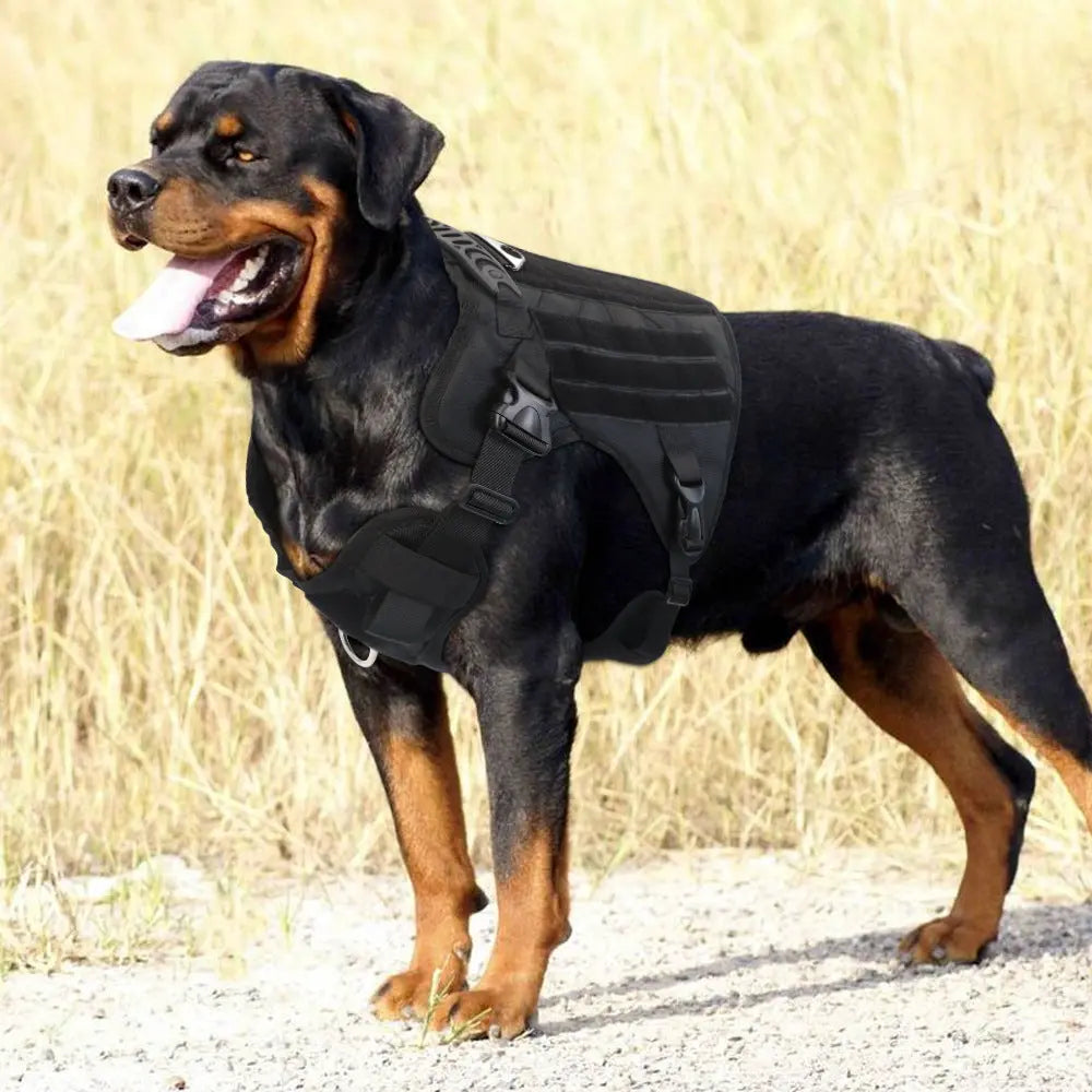 Vest Nylon Water Repellent Tactical Training German Shepherd Dog Chest Strap Explosion-proof - MaJuah