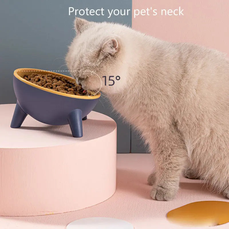 Cat Dog Bowl With Stand Pet Feeding Food Bowls Dogs Bunny Rabbit Nordic Color Feeder Product Supplies Pet Accessories - MaJuah