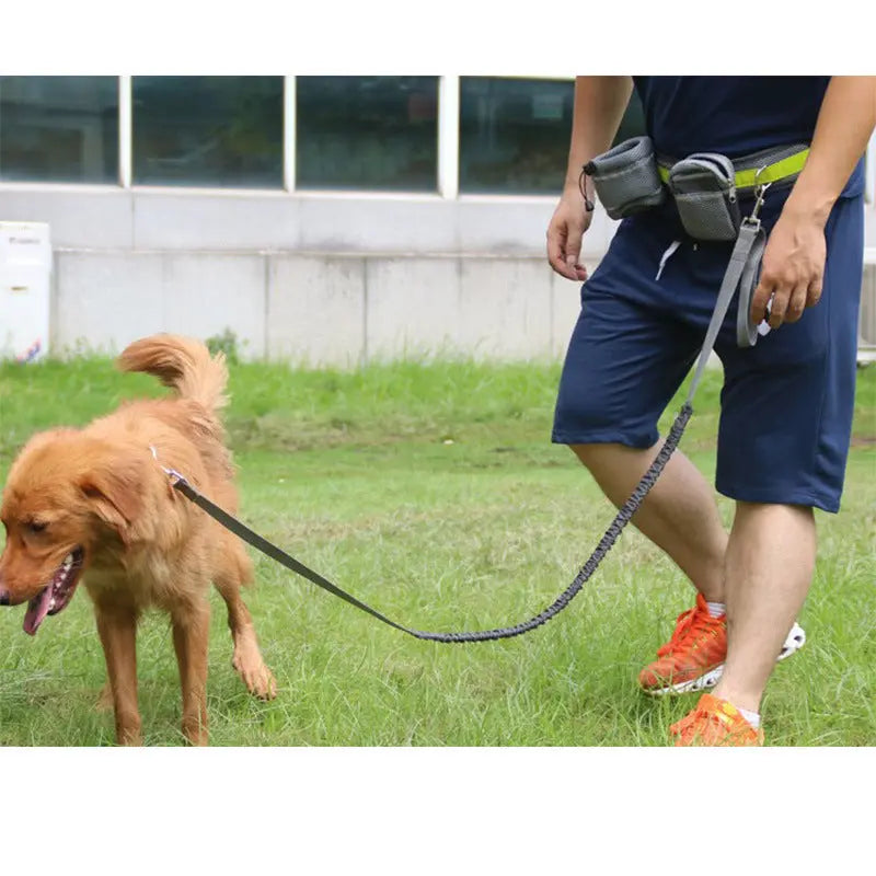 Adjustable Hands Free Dog Leash - MaJuah