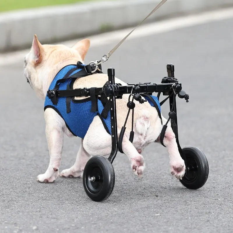 Pet Disabled Dog Wheelchair Scooter - MaJuah