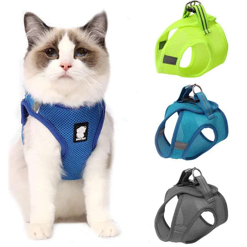 Anti-strike cat traction cat harness - MaJuah