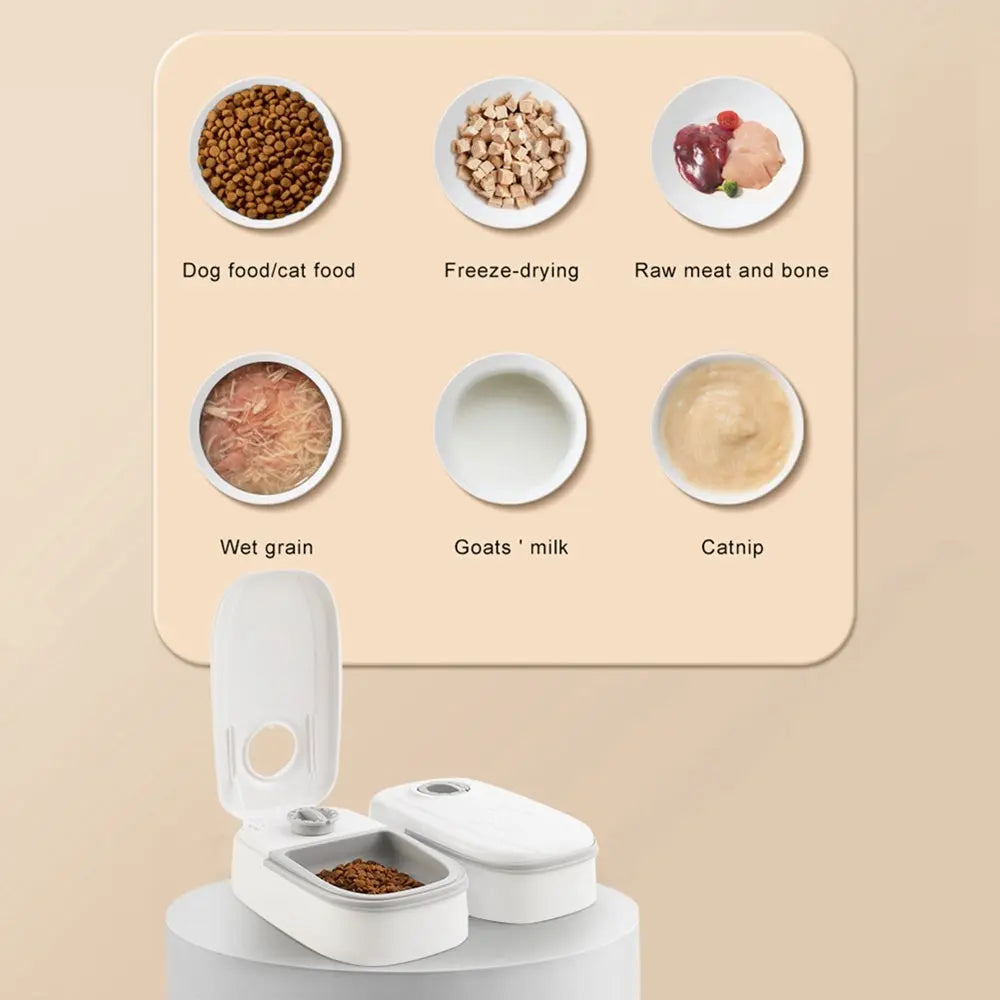 Automatic Pet Feeder Smart Food Dispenser For Cats Dogs Timer Stainless Steel Bowl Auto Dog Cat Pet Feeding Pets Supplies - MaJuah