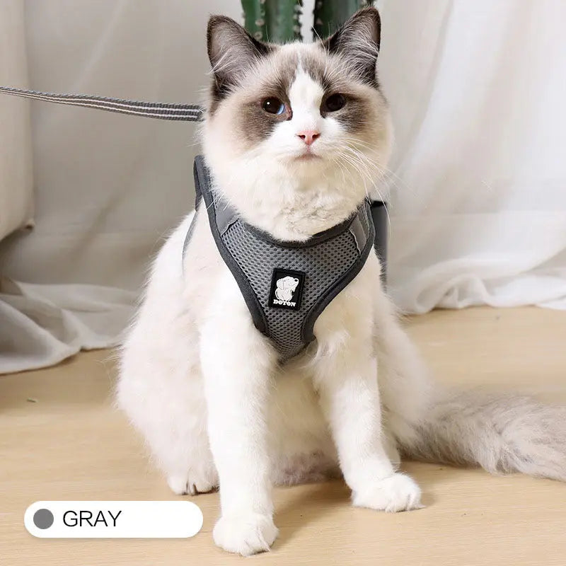 Anti-strike cat traction cat harness - MaJuah