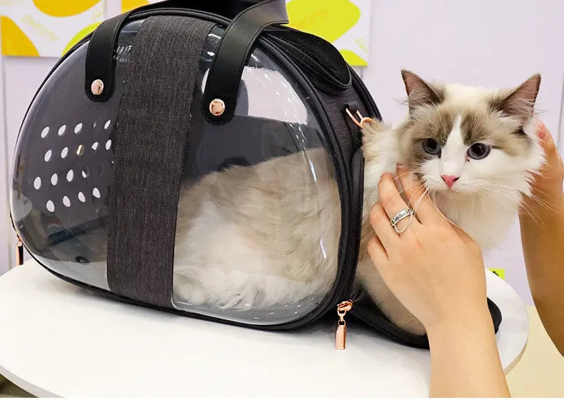 Double Fish Transparent Dog Bag Puppy Cat Cane Backpack Accessory Things Accessoires Bag Products Small Cage Pet Animal Seat Bed Double Fish Transparent Dog Bag Puppy Cat Cane Backpack Access - MaJuah