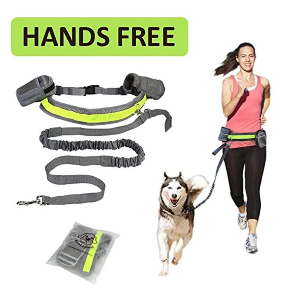 Adjustable Hands Free Dog Leash - MaJuah