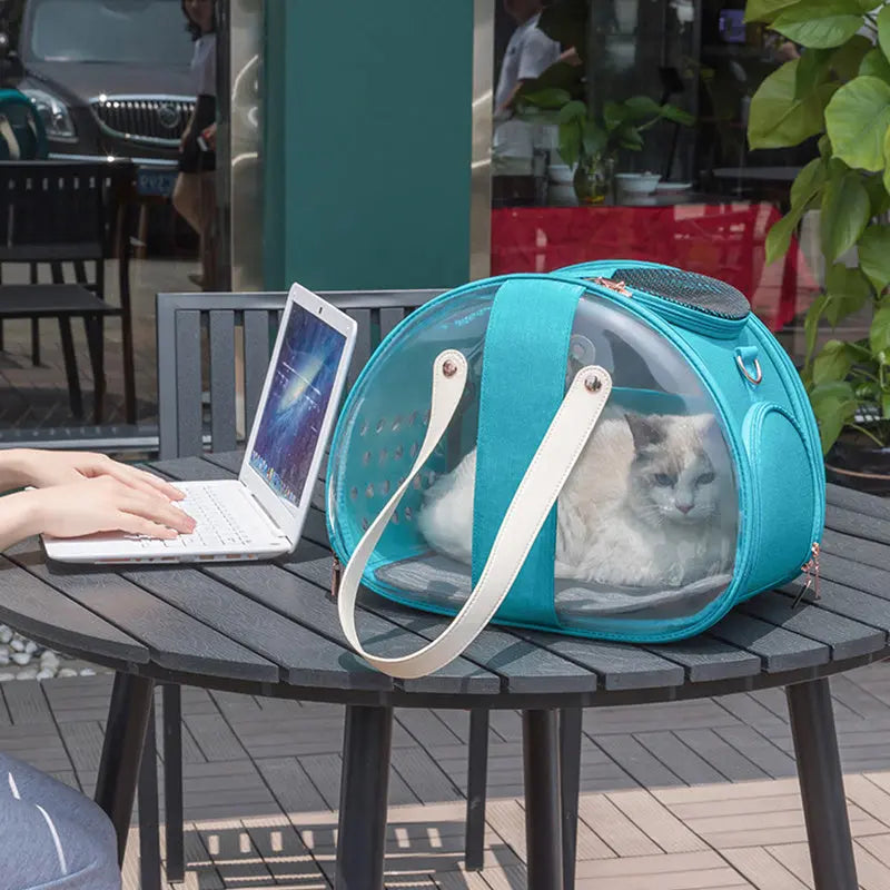 Double Fish Transparent Dog Bag Puppy Cat Cane Backpack Accessory Things Accessoires Bag Products Small Cage Pet Animal Seat Bed Double Fish Transparent Dog Bag Puppy Cat Cane Backpack Access - MaJuah