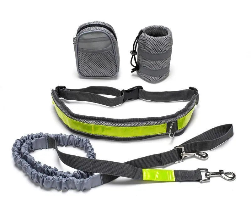 Adjustable Hands Free Dog Leash - MaJuah