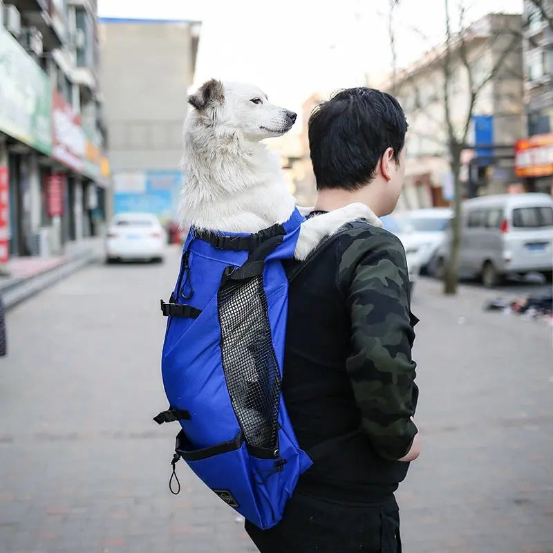 Pet Dog Carrier Bag Carrier For Dogs Backpack Out Double Shoulder Portable Travel Backpack Outdoor Dog Carrier Bag Travel - MaJuah