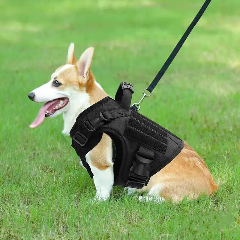 Vest Nylon Water Repellent Tactical Training German Shepherd Dog Chest Strap Explosion-proof - MaJuah