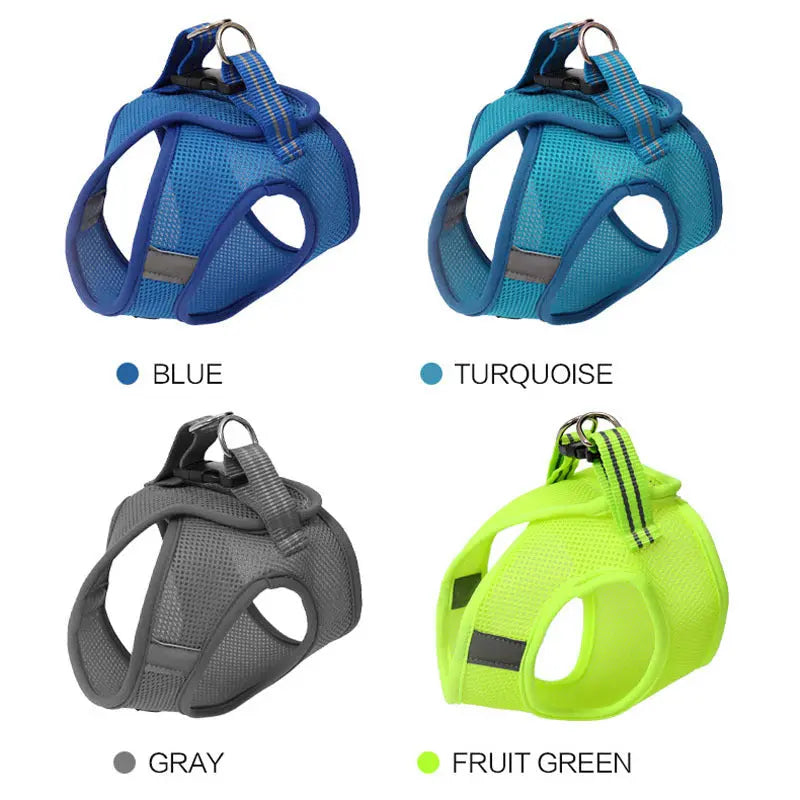 Anti-strike cat traction cat harness - MaJuah