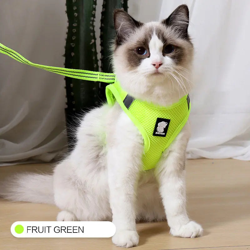 Anti-strike cat traction cat harness - MaJuah