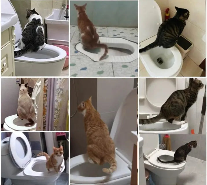 Pet Supplies Cat Toilet Trainer - MaJuah
