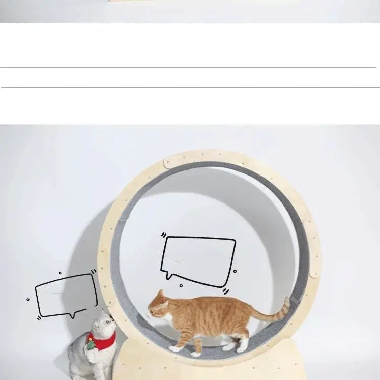 Special Toys For Cat Treadmill Roller - MaJuah