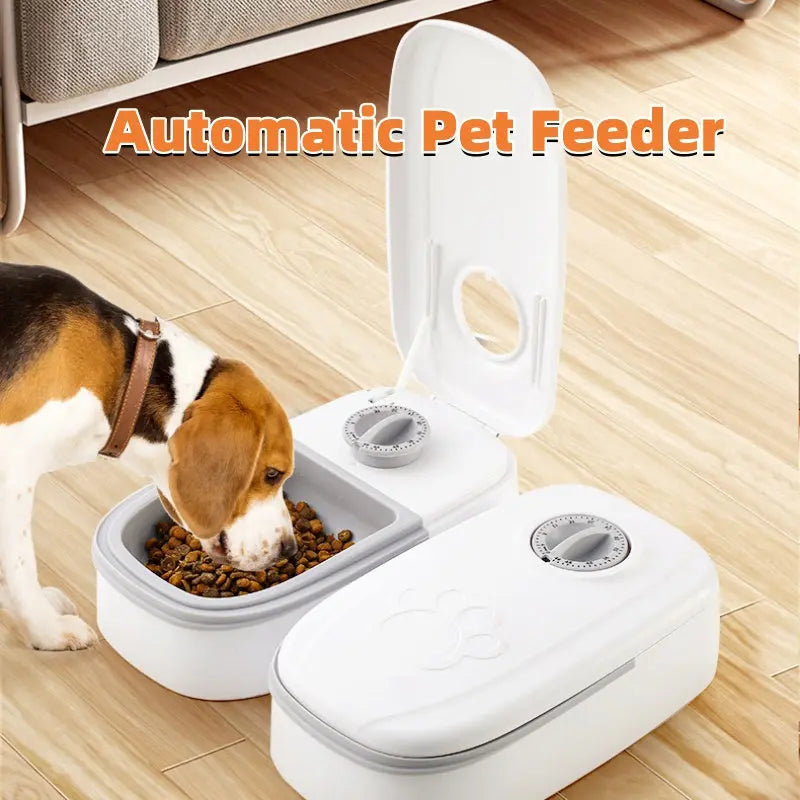 Automatic Pet Feeder Smart Food Dispenser For Cats Dogs Timer Stainless Steel Bowl Auto Dog Cat Pet Feeding Pets Supplies - MaJuah