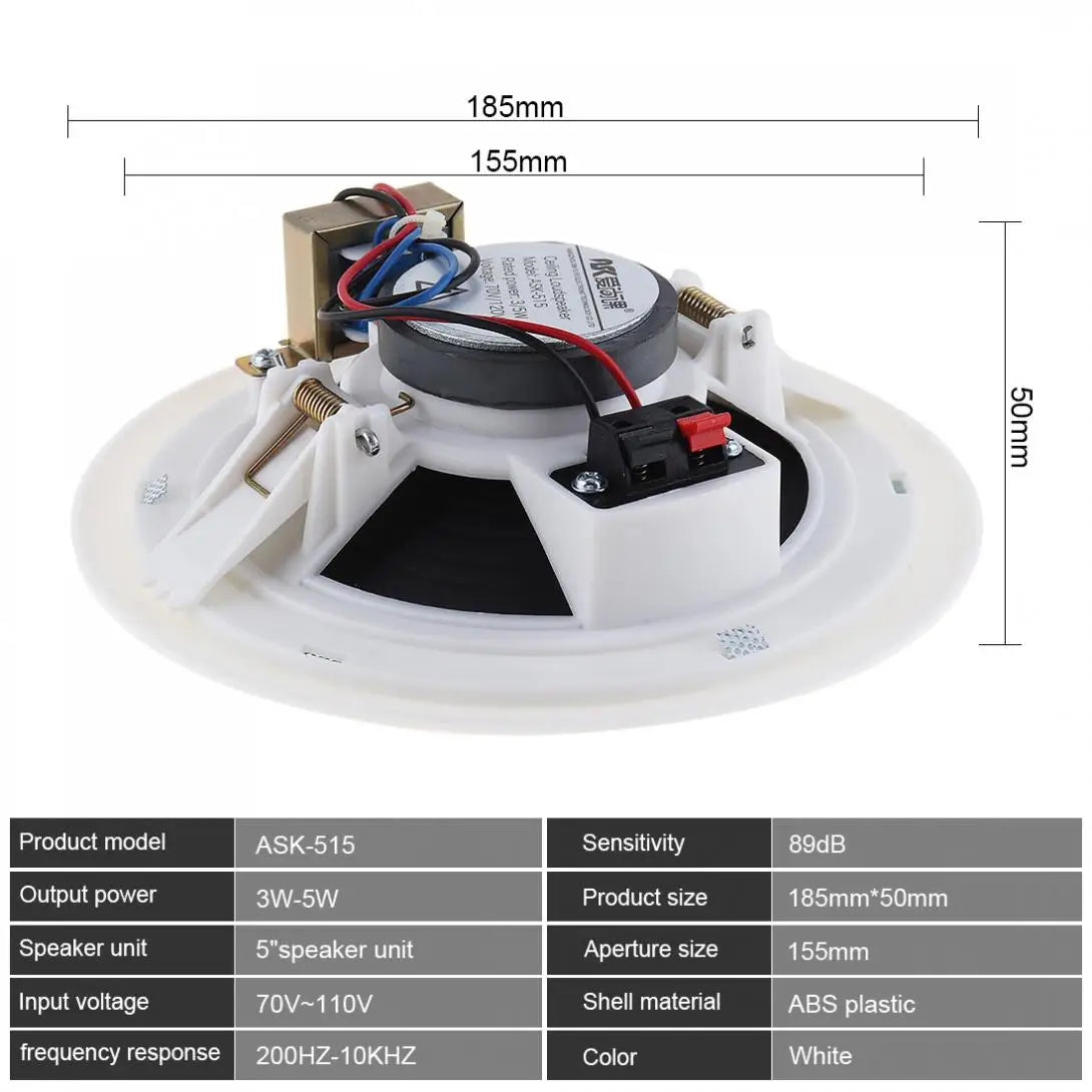 Wall-mounted Ceiling Speaker background Music System 3D stereo sound Hifi DJ Soundbar TV speakers Public Broadcast loudspeaker