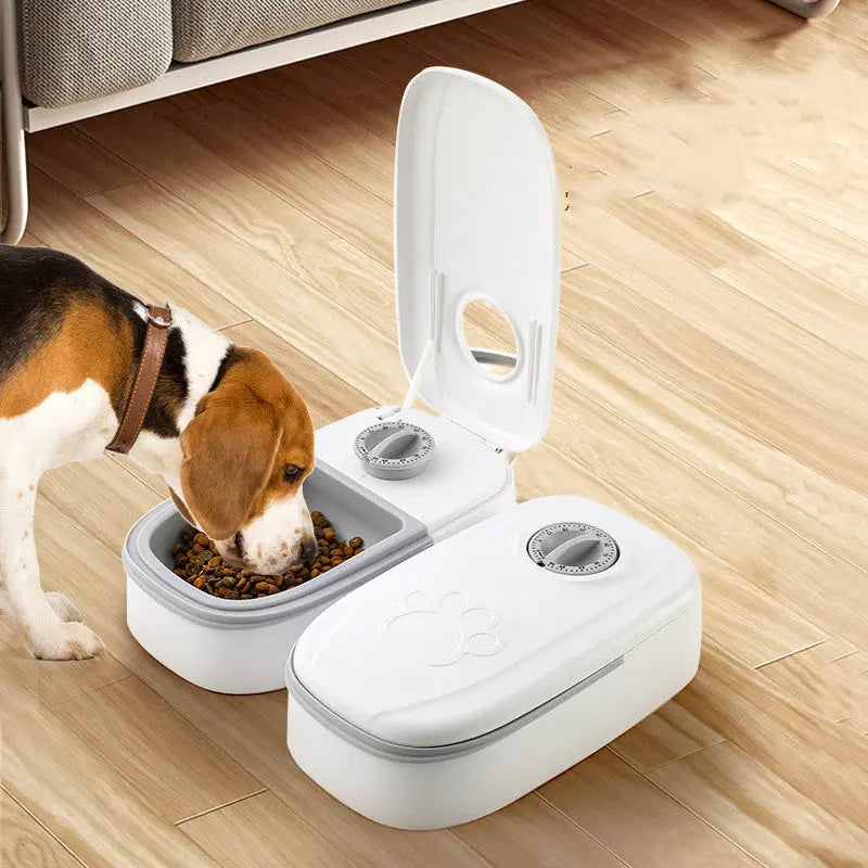 Automatic Pet Feeder Smart Food Dispenser For Cats Dogs Timer Stainless Steel Bowl Auto Dog Cat Pet Feeding Pets Supplies - MaJuah